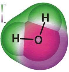 H 2 O : ehtlh = 6 + 2.