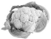 Ishrana kao faktor oporavka Karfiol instruktor varenja Karfiol predstavlja vrstu kupusa koja se naj lakše vari.