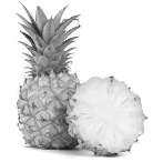 Ishrana kao faktor oporavka Ananas zaštitnik želuca Hranljiva i lekovita svojstva ananasa su broj na.