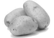 Ishrana kao faktor oporavka Krompir prijatelj želuca Sa svojih 1.300 podvrsta, krompir je naj - više uzgajana biljka na svetu, iako su ga u Srednjem veku u Evropi prezrivo nazivali jestivim kamenjem.