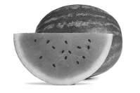 Ishrana kao faktor oporavka Lubenica poklon za bubrege Zbog svog specifičnog sastava sa preko 90% vode, lubenica je odlična za podsticanje pravilnog rada bubrega i sprečavanje formiranja kamena u