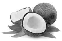 Ishrana kao faktor oporavka Kokos bogat izvor minerala Kokosovo drvo je jedno od najotpornijih u prirodi.