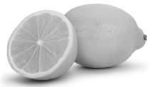 Oporavak sportista Limun čisti krv Glavni sastojci limuna nisu hranljivi sastoj - ci, već prateće supstance ili fitohemikalije.