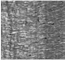 40 16 nmc Nylon6,64 nm LLDPE Tg LLDPE LLDPE HDPENylon6,6 [5] 2LLDPEAg 10 MPa