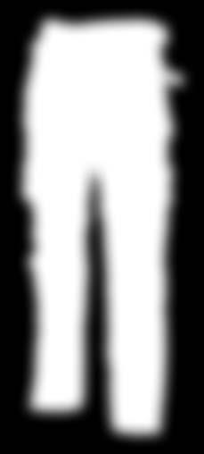 FLISA MERCURY Siva