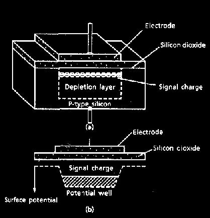 kondensatoriai, tarp kurių organizuojamas