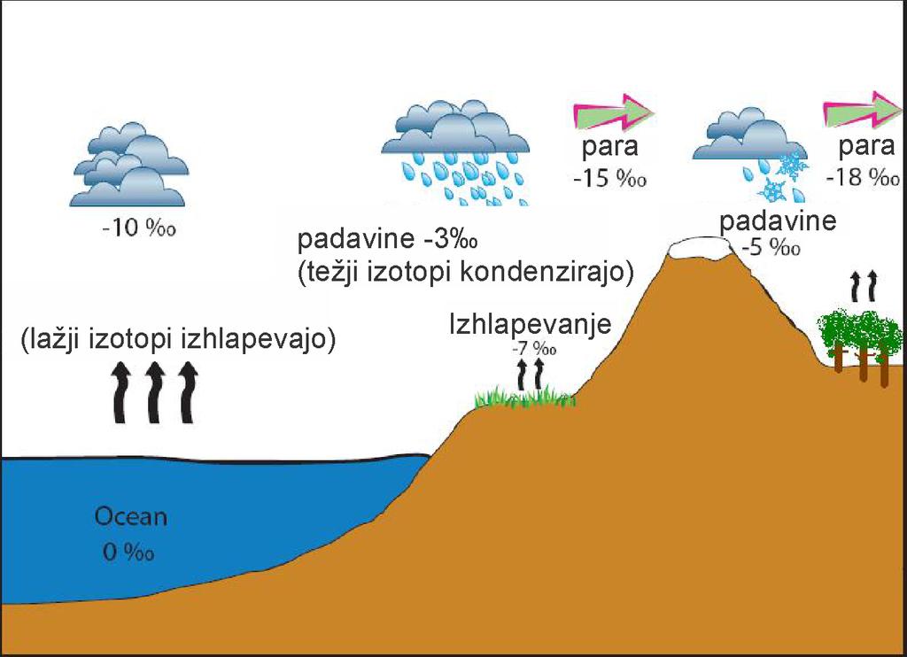 Stabilni izotopi v