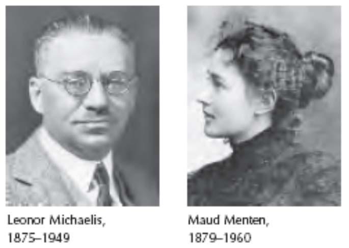 Michaelis-Mentenova kinetika S P Ključnega pomena za encimsko katalizo je nastanek kompleksa ES (L. Michaelis in M. Menten 1912) hitra reverzibilna stopnja v 0 = k 2.
