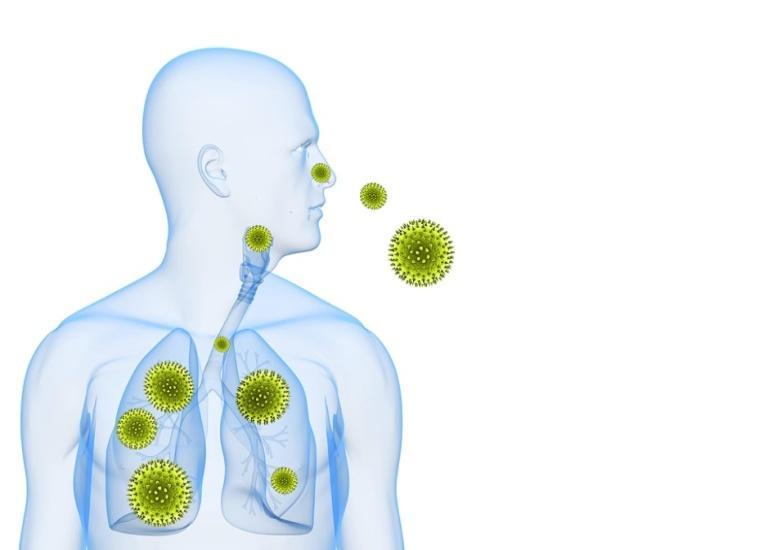 ΑΛΛΕΡΓΙΕΣ ΑΝΑΠΝΕΥΣΤΙΚΟΥ Η αναπνευστική αλλεργία αποτελεί ένα πολύ σημαντικό πρόβλημα υγείας σε όλο τον κόσμο με περίπου έναν στους τέσσερις πολίτες να υποφέρουν από κάποια από τις μορφές της.