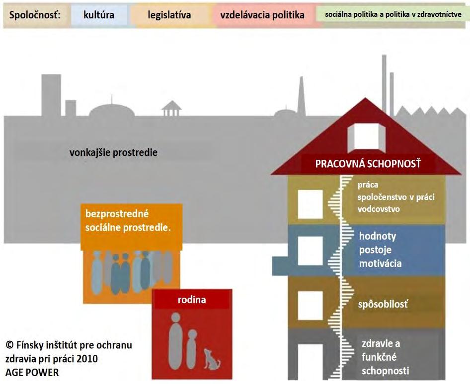 pre ňu hrozbou a naopak zlepšenie funkčnej kapacity umožňuje rozvíjať pracovnú schopnosť. 2) spôsobilosť na udržanie odbornej spôsobilosti je potrebné stále obnovovať zručnosti a schopnosti.