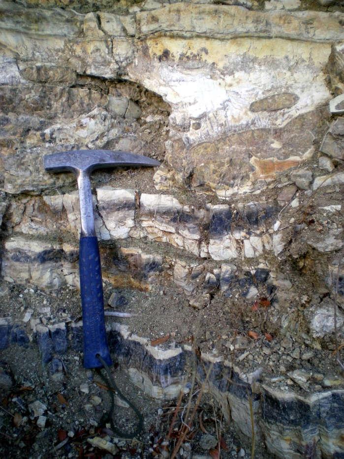 ΛΠ3: Μαύροι στρωματώδεις πυριτόλιθοι Οι πυριτόλιθοι αυτοί είναι μαύρου χρώματος, λεπτοστρωματώδεις, με μέσο πάχος στρώματος περίπου 5cm (Εικόνα 25).