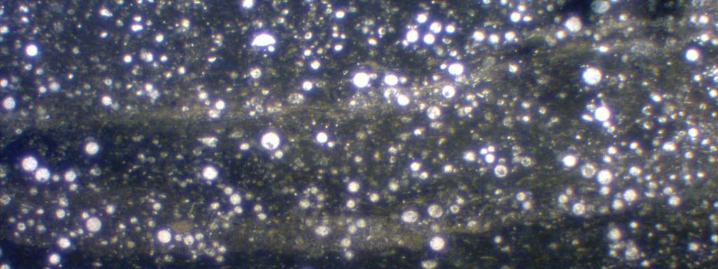 ΛΤΣ7: Ελασματώδες βιοκλαστικό wackestone-packstone Αποτελείται από βιοκλάστες σε ποσοστό 35-60%, ενώ η κύρια μάζα αποτελείται κυρίως από πηλοειδή, αργιλικά ορυκτά και οργανικό υλικό (Εικόνα 35).