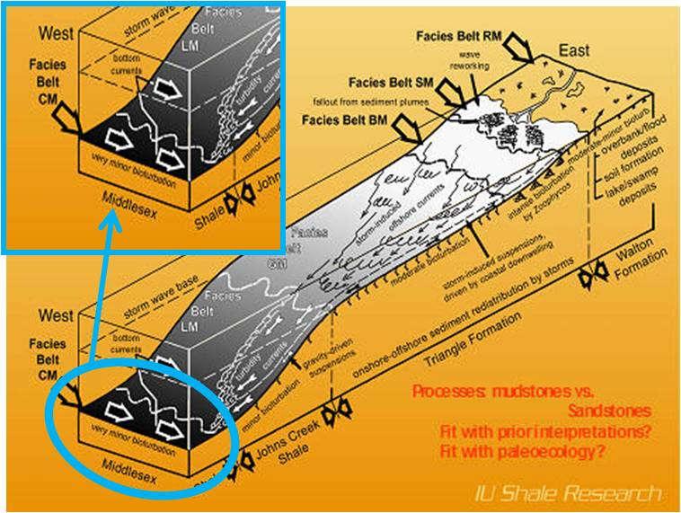 (basin margin), όπως συνάγεται από τα γενικότερα χαρακτηριστικά των αποθέσεων.