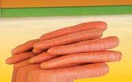 ŠALÁTOVÁ voľný predaj 0,9 /kg,0 /kg,0 /kg PAPRIKA PÁLIVÁ voľný predaj 0, /ks PONÚKAME SKORÚ JARNÚ ZELENINU: šalát, cibuľka lahôdková, reďkovka, kalerábik, rajčina CHERRY, rajčina