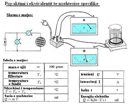 VËRTETIMI I