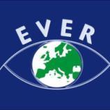 ΠΑΡΑΣΚΕΥΗ απόγευμα 25 Ιανουαρίου 2019 15:30-17:30 Video Interactive Presentations - V.I.P. 2019 Κουτσανδρέα Χρυσάνθη Συμμετέχοντες: Γεωργάλας Η. Γκοτζαρίδης Σ. El Rayes E. Georgopoulos M. Lam W.C.