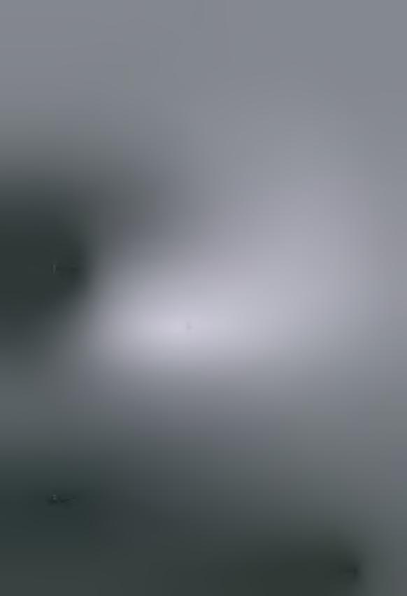 Εικ. 44