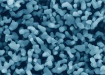 Vapor Deposition -Al2O3