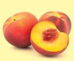 INFORMACIONE MBI DISA FRUTA TË STINËS SË VERËS Dihet që stina e verës ka shumë lloje frutash. Plot ngjyra, shije, por edhe të ëmbla.