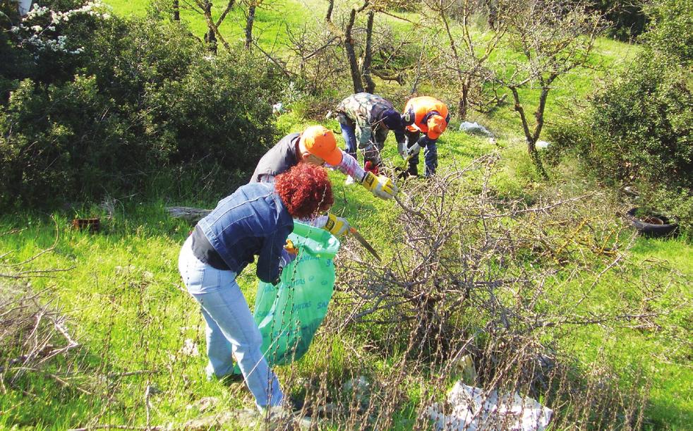 ανάδειξη των αυτοφυών θάμνων και, στη συνέχεια, το μπόλιασμά τους σε αχλαδιές και μηλιές με