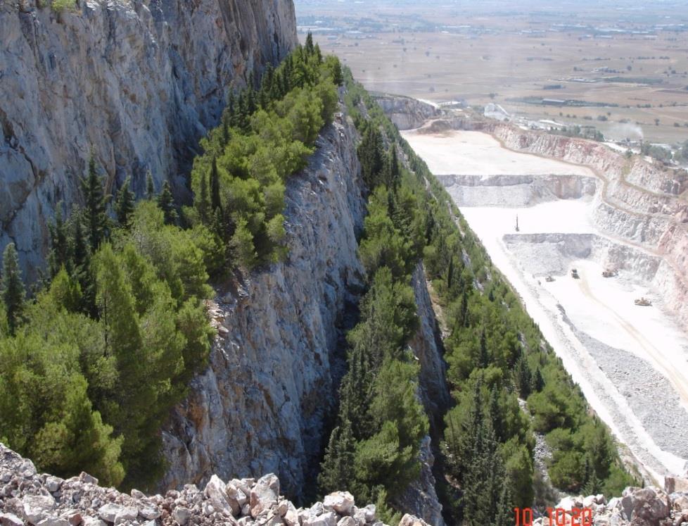 ΚΕΦΑΛΑΙΟ 4 Ο : «ΜΕΘΟΔΟΙ ΕΚΜΕΤΑΛΛΕΥΣΗΣ» 4.1 Μέθοδος ορθών βαθμίδων Σχόλια: «Ορθά» πρανή, με φύτευση στο οριζόντιο τμήμα των βαθμίδων.