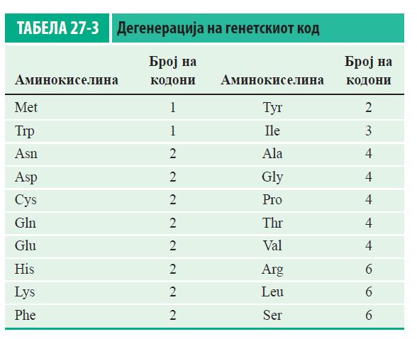 Читањето на кодоните се одвива како на производствена лента Во една случајно избрана секвенца од нуклеотиди, во просек, секој 20-ти кодон во секоја рамка на читање е СТОП кодон.