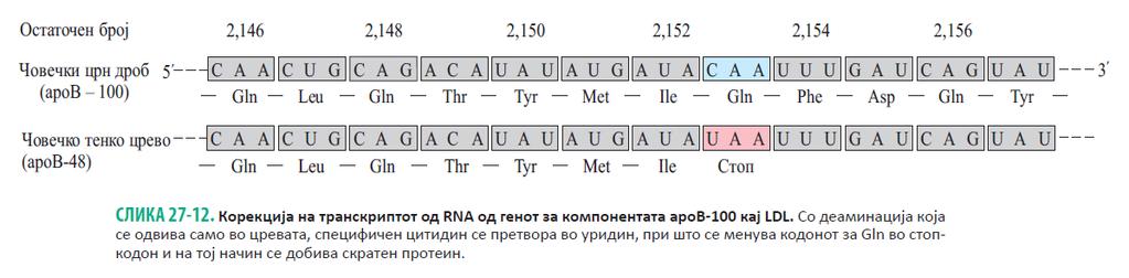 Реакциите на корекција на RNA е значајна за синтеза на правилниот протеин Корекцијата на RNA вклучува адиција,