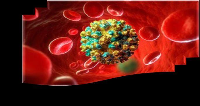 ΠΕΡΙΓΡΑΦΗ Οι ιοί της ηπατίτιδας Β & C και ο ιός της ανθρώπινης ανοσοανεπάρκειας (HIV)