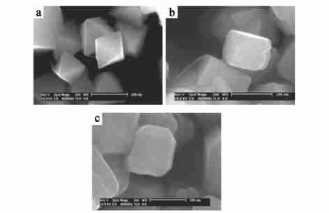 6 SEM images of magnetite nanoparticles [73 ] : (1) ; (2) ; (3), ;, ; ;, [ 1 ] Konishi Y, Nomura T, Mizoe K. Hydrometallurgy, 2004, 74 : [ 2 ] ( Gan Z F), (Jiang J S). ( Prog. Chem.