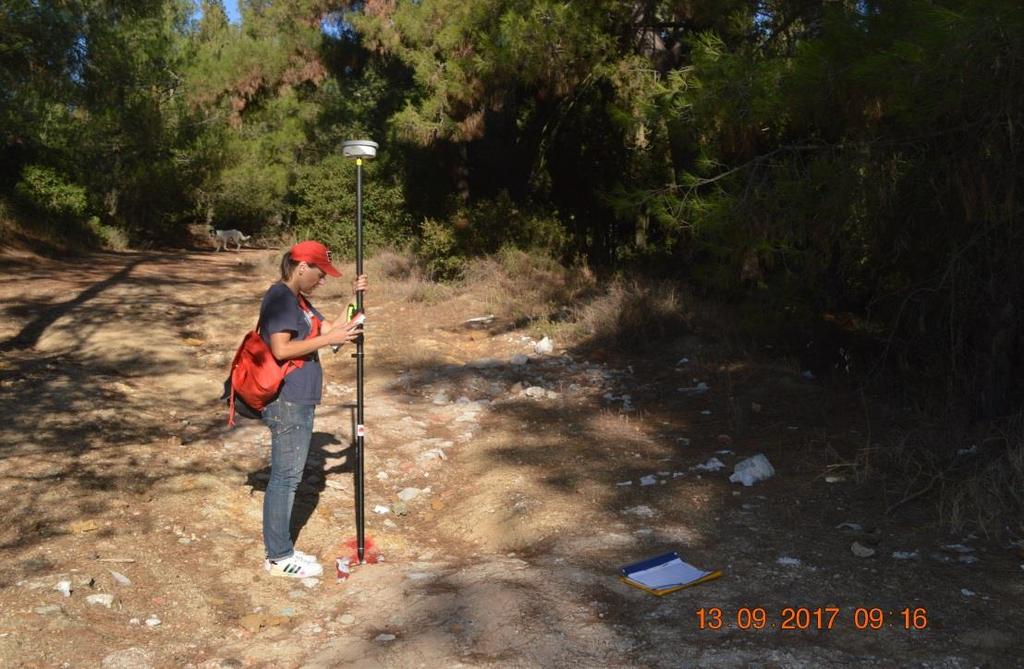 άξονα δασικού δρόμου