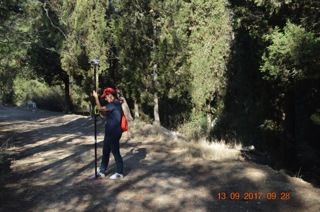 Σημείο 5 άξονα δασικού