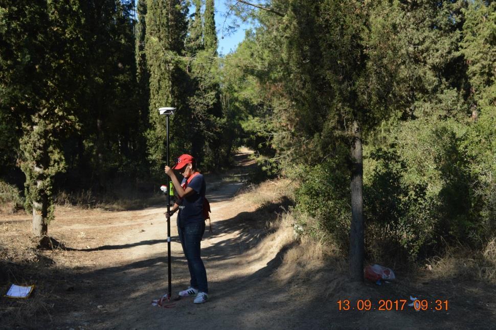 άξονα δασικού δρόμου
