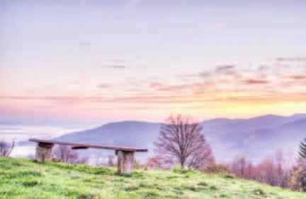 si V začetku januarja je Snaga razveselila občane z občin Horjul in Dobrova-Polhov Gradec, da jim ne bo zaračunala zadnje položnice za pobiranje smeti. Razlog naj bi bilo dobro ločevanje odpadkov.