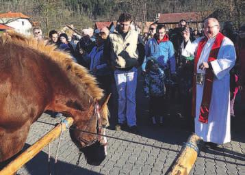 raztrgal dva osla. Potem ko so volkovi v noči z 28. na 29. oktober na Pakem poklali pet ovac in jagnjet ter v noči s 1. na 2. november v Zabočevu pospravili še šest ovac, so se neljubi gostje v dolino vrnili v noči s 1.