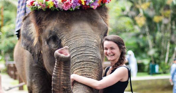 HALF DAY ELEPHANT SAFARI RIDE ΣΑΦΑΡΙ ΜΕ ΣΠΑΝΙΟΥΣ ΕΛΕΦΑΝΤΕΣ SUMATRAN Έναρξη: 07:30, 08:30 ή 12:00, 13:00 Διάρκεια: 5 ώρες Προτεινόμενη ημερομ.