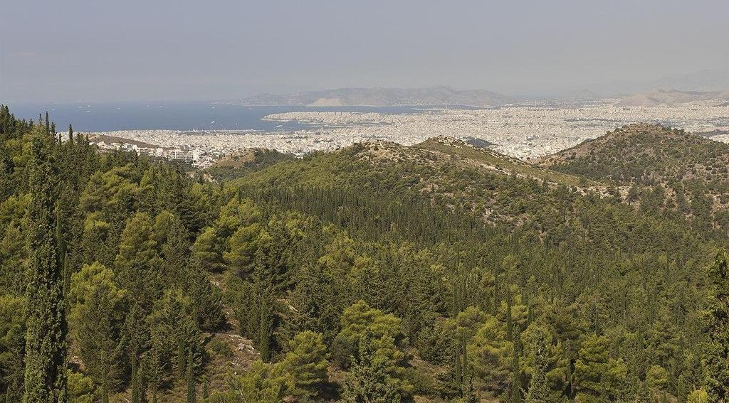 Όπως στην συστηματική Βοτανική το είδος είναι η θεμελιώδης μονάδα, στη βλάστηση οι θεμελιώδεις μονάδες δεν είναι τα επί μέρους φυτικά άτομα αλλά η κατά τόπους συνύπαρξή τους σε συστάδες μικρής ή