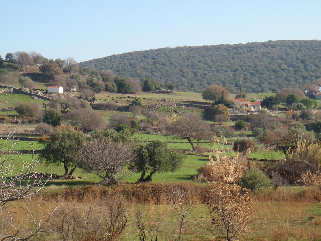 Συμπεράσματα EuroGeoSurveys - ο Σύνδεσμος Ευρωπαϊκών Γεωλογικών