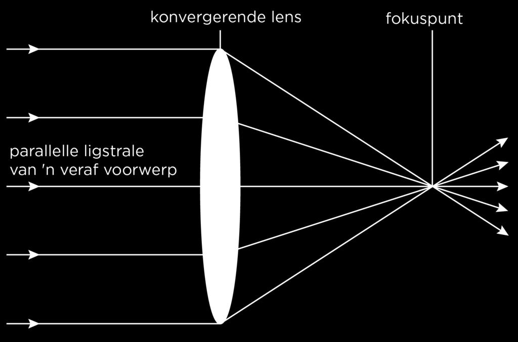 objektieflens genoem NOTA Sodra die lig op die fokuspunt val, word dit deur 'n ander lens, die oogstuklens, vergroot Kyk na die optiese straaldiagraam hieronder wat 'n
