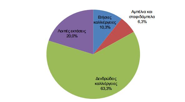 Διαρθρωτικά χαρακτηριστικά του Πρωτογενή τομέα της Περιφέρειας