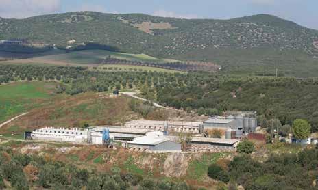Η Χοιροτροφική μονάδα Αφοί Μάλλιας, είναι οικογενειακή υπόθεση Ρεπορτάζ / Συνέντευξη: Ελένη Μαστρονικολή Την ξενάγηση στο χώρο μας έκαναν ο Κώστας και ο Νίκος Μάλλιας η τρίτη γενιά πλέον της