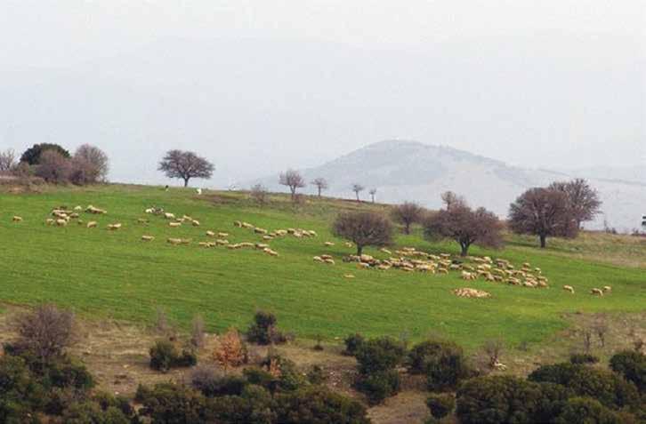 46 1,2 εκατ. ευρώ για Βιολογική Κτηνοτροφία στη Λάρισα Ανακοίνωση έκδοσης καταστάσεων πληρωμής του έτους 2015 των δικαιούχων της Δράσης 1.2 «Βιολογική Κτηνοτροφία» του Μέτρου 2.1.4. Η Διεύθυνση Αγροτικής Οικονομίας και Κτηνιατρικής Περιφερειακής Ενότητας Λάρισας Περιφέρειας Θεσσαλίας ενημερώνει τους δικαιούχους της Δράσης 1.
