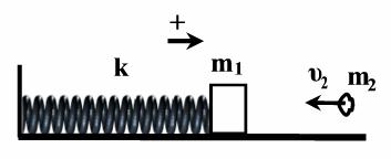 ελατηρίου. Δίνεται: η επιτάχυνση βαρύτητας g = 10m/s 2. (Ε. ΕΣΠ. 2012) 7. Σώμα Σ 1 μάζας Μ=3 kg, είναι στερεωμένο στο άκρο οριζόντιου ιδανικού ελατηρίου σταθεράς k=100ν/m.