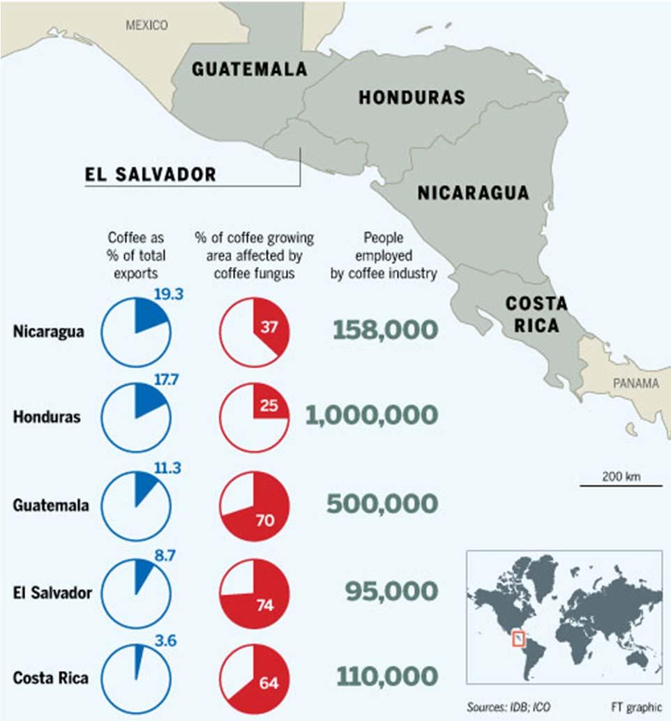 Κεντρική Αμερική οι οικονομίες αυτών των χώρων βασίζονται σε μεγάλο βαθμό στη