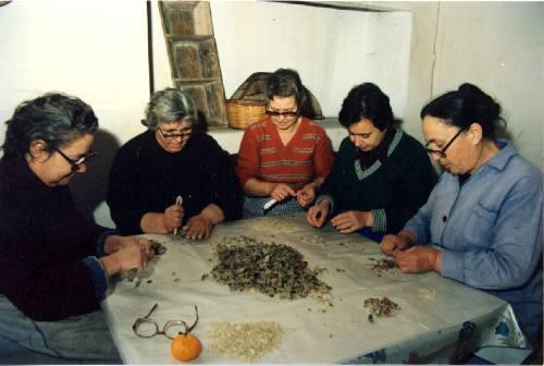 ( Intenet, www.gummastic.gr/ «ΦΩΤΟΓΡΑΦΙΕΣ», 2006 ) 11.1. ΕΠΕΞΕΡΓΑΣΙΑ ΚΑΙ ΤΥΠΟΠΟΙΗΣΗ ΤΗΣ ΜΑ