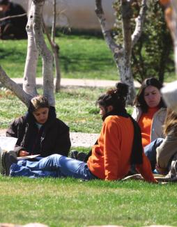 εκπαίδευση ενηµέρωση γκτικής διαφέρουν από χώρα σε χώρα, εξαιτίας των πολλών ιδιαιτεροτήτων στα νομικά, φορολογικά και άλλα συστήματα που υπάρχουν διεθνώς, αλλά ακόμα και εντός της Ε.