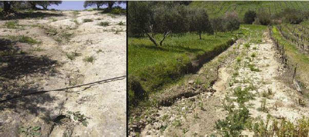 Σελίδα23 Εικόνα 12: Αυλακωτή διάβρωση (rill erosion) σε επικλινή εδάφη (πηγή: LIFE ENV/GR/000278 So.S., 2011) 3.