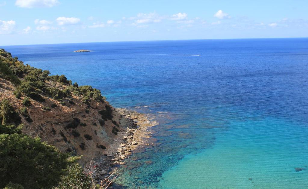 Αξιοποίηση των αποτελεσμάτων Τα αποτελέσματα της ανάλυσης PESTLE μπορούν να χρησιμοποιηθούν για το μακροπρόθεσμο σχεδιασμό και τη λήψη