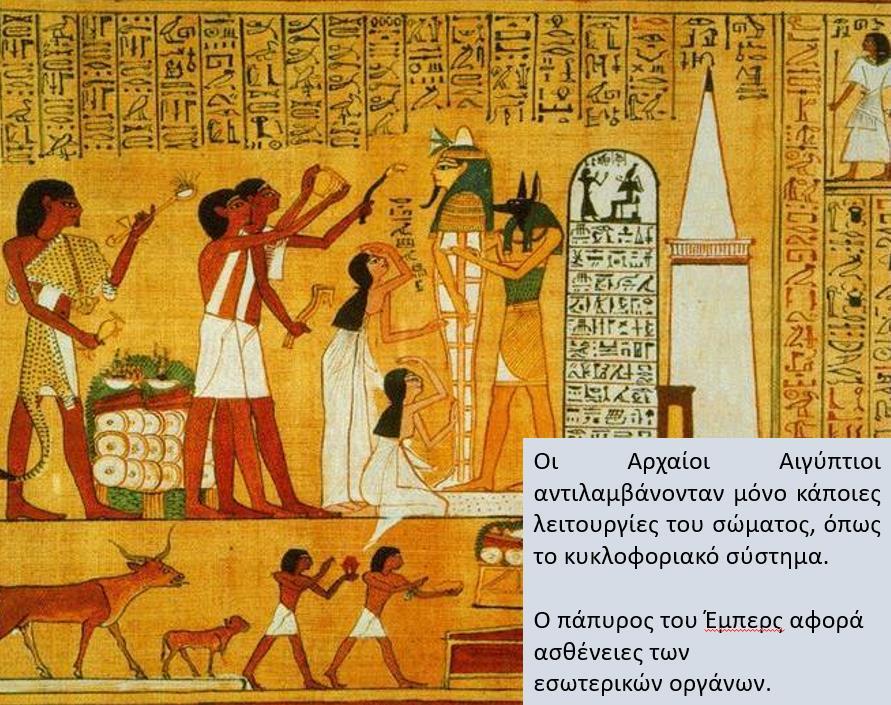 Στα επόμενα μέρη της αναλυτικές παρουσίασης των μαθητών εστίασαν στην εξέλιξη της επιστήμης της ιατρικής, των μαθηματικών και της αστρονομίας.