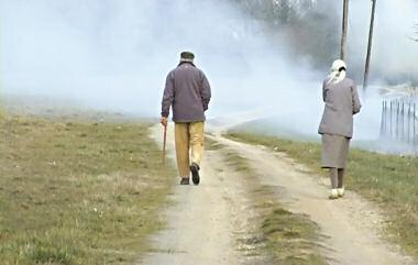 Ωστόσο, αυτήν τη χρονιά η οικογένεια βρίσκεται σ ένα σταυροδρόμι.