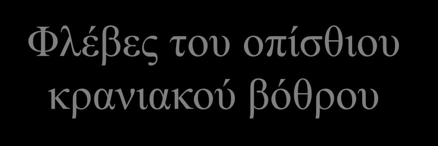 Φλέβες